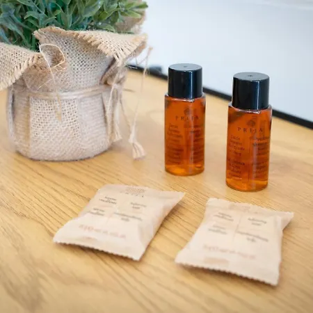 Malpique Heated Pool & Jacuzzi Guest House